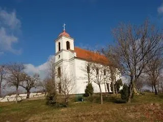 Laterum Pécs
